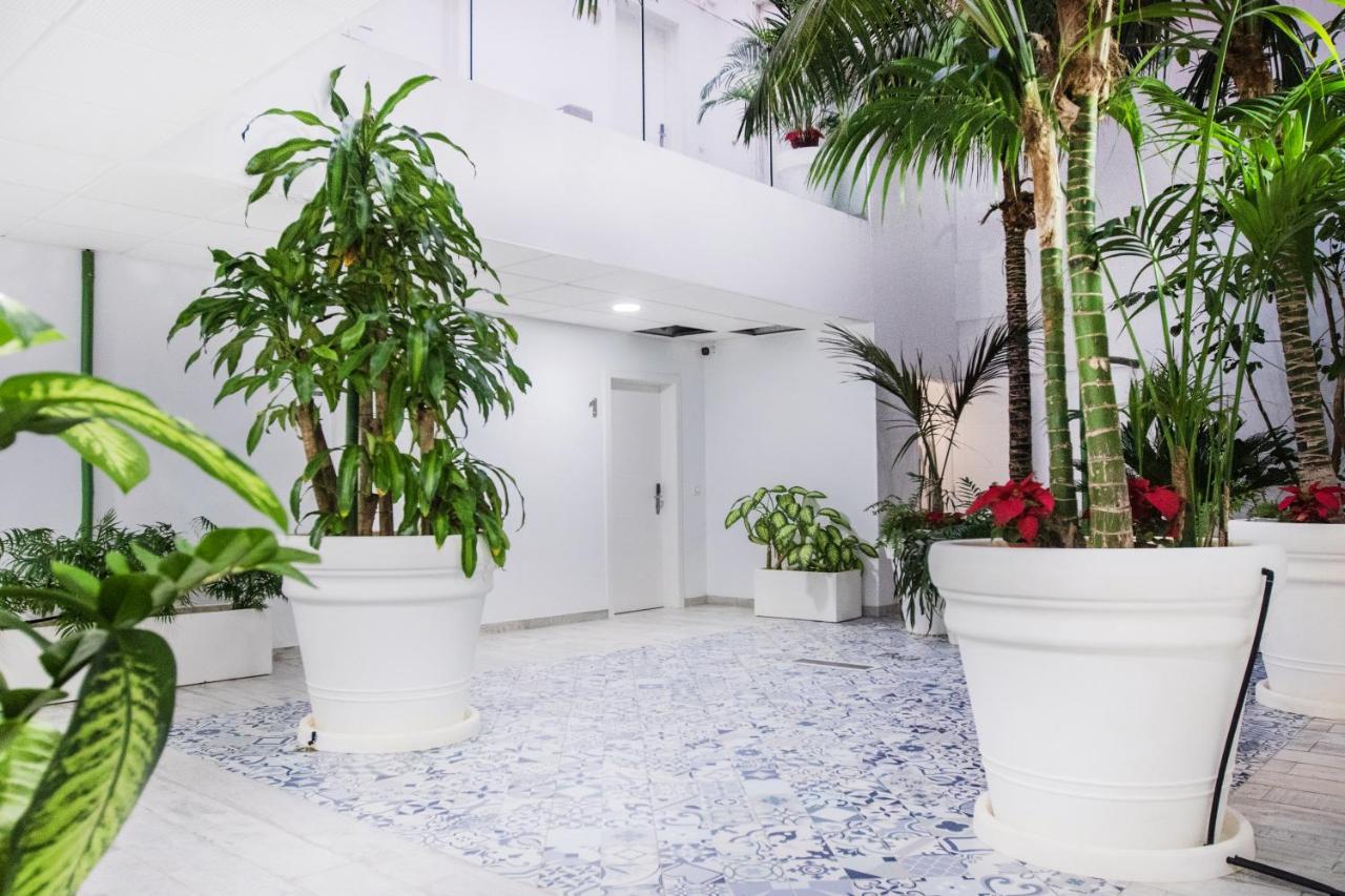 Coccoloba Suites Коральео Экстерьер фото