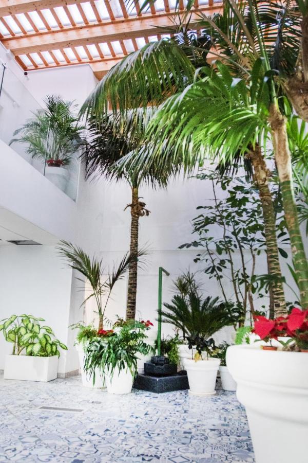 Coccoloba Suites Коральео Экстерьер фото